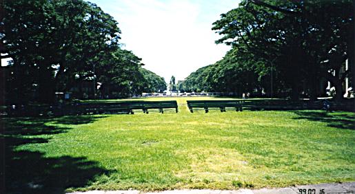 The lawn and benches in front of the amphitheatre