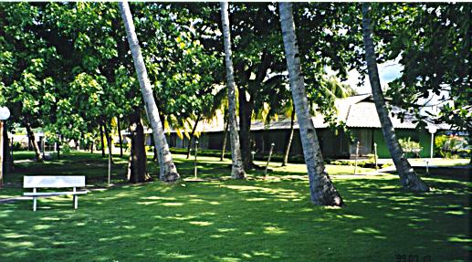 Coconut palms and hotel exterior